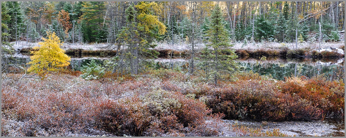 First Snowfall WEB