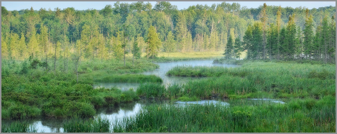 Hwy S bog WEB